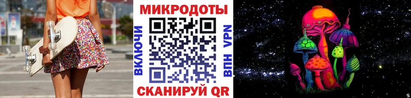 Псилоцибиновые грибы Psilocybine cubensis  Кыштым 